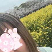 ヒメ日記 2025/03/23 10:45 投稿 あみ 宮崎ちゃんこ都城店