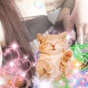 ヒメ日記 2024/12/10 11:56 投稿 鶴野和恵 五十路マダム愛されたい熟女たち 福山店(カサブランカグループ)