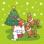 ヒメ日記 2024/12/21 09:44 投稿 鶴野和恵 五十路マダム愛されたい熟女たち 福山店(カサブランカグループ)