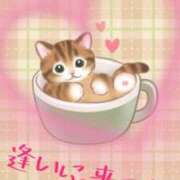 ヒメ日記 2025/11/17 17:24 投稿 鶴野和恵 五十路マダム愛されたい熟女たち 福山店(カサブランカグループ)