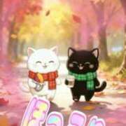 ヒメ日記 2025/12/01 17:56 投稿 鶴野和恵 五十路マダム愛されたい熟女たち 福山店(カサブランカグループ)