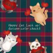 ヒメ日記 2025/12/02 16:56 投稿 鶴野和恵 五十路マダム愛されたい熟女たち 福山店(カサブランカグループ)