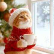 ヒメ日記 2025/12/21 11:26 投稿 鶴野和恵 五十路マダム愛されたい熟女たち 福山店(カサブランカグループ)