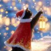 ヒメ日記 2025/12/21 17:50 投稿 鶴野和恵 五十路マダム愛されたい熟女たち 福山店(カサブランカグループ)