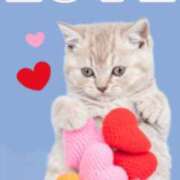 ヒメ日記 2026/02/16 17:34 投稿 鶴野和恵 五十路マダム愛されたい熟女たち 福山店(カサブランカグループ)