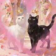 ヒメ日記 2026/02/23 15:36 投稿 鶴野和恵 五十路マダム愛されたい熟女たち 福山店(カサブランカグループ)