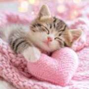 鶴野和恵 出勤しました 五十路マダム愛されたい熟女たち 福山店(カサブランカグループ)