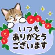ヒメ日記 2026/04/15 15:26 投稿 鶴野和恵 五十路マダム愛されたい熟女たち 福山店(カサブランカグループ)