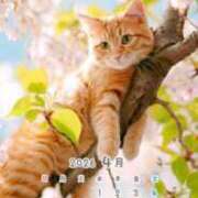 ヒメ日記 2026/04/21 16:10 投稿 鶴野和恵 五十路マダム愛されたい熟女たち 福山店(カサブランカグループ)