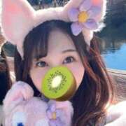 ヒメ日記 2025/01/25 06:39 投稿 ほのか 深海魚