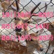 ヒメ日記 2025/08/17 22:33 投稿 ほのか 深海魚