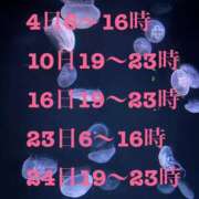 ヒメ日記 2025/08/25 17:24 投稿 ほのか 深海魚