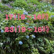 ヒメ日記 2026/06/14 09:01 投稿 ほのか 深海魚