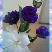 ヒメ日記 2025/02/08 08:07 投稿 桜井はる 五十路マダム 博多店