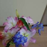 ヒメ日記 2025/02/23 07:37 投稿 桜井はる 五十路マダム 博多店