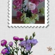 ヒメ日記 2025/02/23 11:17 投稿 桜井はる 五十路マダム 博多店