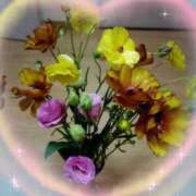 ヒメ日記 2025/02/27 07:27 投稿 桜井はる 五十路マダム 博多店