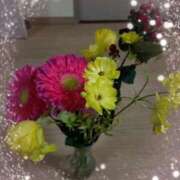 ヒメ日記 2025/03/03 10:58 投稿 桜井はる 五十路マダム 博多店