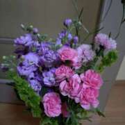 ヒメ日記 2025/03/13 14:15 投稿 桜井はる 五十路マダム 博多店