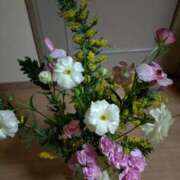 ヒメ日記 2025/03/19 20:48 投稿 桜井はる 五十路マダム 博多店