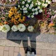 ヒメ日記 2025/03/22 12:21 投稿 桜井はる 五十路マダム 博多店