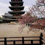 ヒメ日記 2025/03/30 18:28 投稿 桜井はる 五十路マダム 博多店