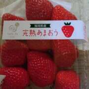 ヒメ日記 2025/04/01 21:55 投稿 桜井はる 五十路マダム 博多店