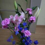 ヒメ日記 2025/04/04 13:47 投稿 桜井はる 五十路マダム 博多店