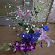 ヒメ日記 2025/04/10 14:17 投稿 桜井はる 五十路マダム 博多店