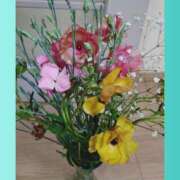 ヒメ日記 2025/04/15 15:17 投稿 桜井はる 五十路マダム 博多店