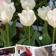 ヒメ日記 2025/04/19 15:37 投稿 桜井はる 五十路マダム 博多店