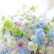 ヒメ日記 2025/05/02 08:17 投稿 桜井はる 五十路マダム 博多店