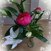 ヒメ日記 2025/05/08 15:07 投稿 桜井はる 五十路マダム 博多店