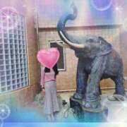 ヒメ日記 2025/05/12 15:27 投稿 桜井はる 五十路マダム 博多店