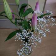 ヒメ日記 2025/05/18 15:07 投稿 桜井はる 五十路マダム 博多店