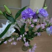 ヒメ日記 2025/05/22 14:47 投稿 桜井はる 五十路マダム 博多店