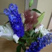 ヒメ日記 2025/05/29 16:47 投稿 桜井はる 五十路マダム 博多店