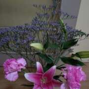 ヒメ日記 2025/06/01 16:17 投稿 桜井はる 五十路マダム 博多店