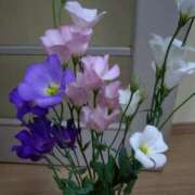 ヒメ日記 2025/06/05 14:14 投稿 桜井はる 五十路マダム 博多店