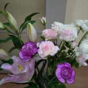 ヒメ日記 2025/06/26 15:07 投稿 桜井はる 五十路マダム 博多店