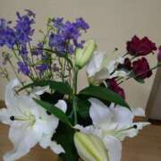 ヒメ日記 2025/07/06 14:07 投稿 桜井はる 五十路マダム 博多店