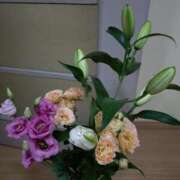 ヒメ日記 2025/07/23 13:07 投稿 桜井はる 五十路マダム 博多店