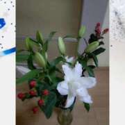 ヒメ日記 2025/07/25 15:27 投稿 桜井はる 五十路マダム 博多店