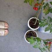 ヒメ日記 2025/07/31 07:17 投稿 桜井はる 五十路マダム 博多店