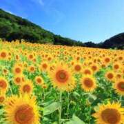 ヒメ日記 2025/08/02 10:18 投稿 桜井はる 五十路マダム 博多店