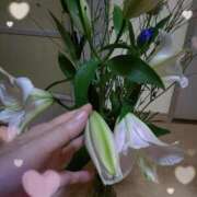 ヒメ日記 2025/08/03 09:20 投稿 桜井はる 五十路マダム 博多店