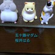 ヒメ日記 2025/08/05 13:57 投稿 桜井はる 五十路マダム 博多店