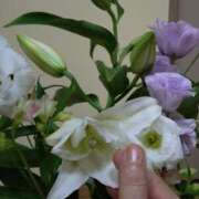 ヒメ日記 2025/08/20 11:02 投稿 桜井はる 五十路マダム 博多店