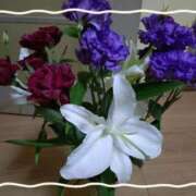 ヒメ日記 2025/08/22 16:47 投稿 桜井はる 五十路マダム 博多店