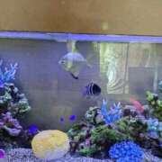 ヒメ日記 2025/08/26 07:27 投稿 桜井はる 五十路マダム 博多店